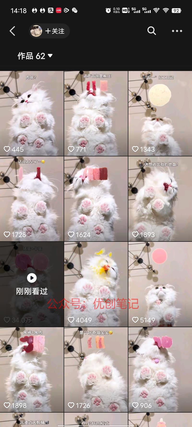 宠物赛道 另辟蹊径 不…#情报-搞钱线报📢论坛-网创交流-优创圈
